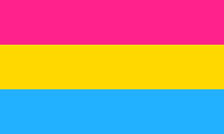 pansexual The pansexual flag